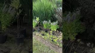 Lakeside Planting Part 13 [upl. by Kuska]