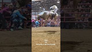 El Toro del Millon explore viralvideo viralshort foryou fyp [upl. by Dusa]