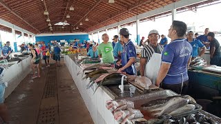 PEIXE🐟 UMA COMIDA TÍPICA DA AMAZÔNIA [upl. by Alekahs]