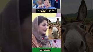 Maryam Nawaz Funny pti ptiloverfan imrankhanpti duet ptilove [upl. by Hartmann]