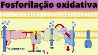 Como calcular o Número de Prótons Nêutrons e Elétrons [upl. by Corel]