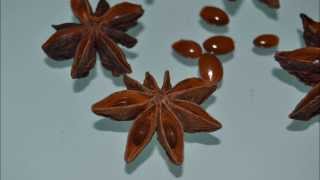 Star anise poisoning side effects [upl. by Ajnot]