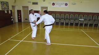 Goju Ryu Karate  Partner Drill [upl. by Barren]