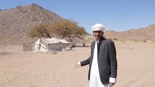 Sinai Bedouin Tent  البيت البدوي [upl. by Palermo]