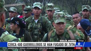 Cerca de 400 guerrilleros se han fugado de la ZVTN para volver a las armas [upl. by Neelia]