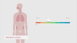 Understanding the acidbase balance – Radiometer [upl. by Pollard]