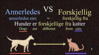 Annerledes VS Forskjellig  Norwegian Language Bokmål [upl. by Concordia]