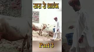 सास रो आतंक  Marwadi comedy  Rajasthani comedy  Kishore suman Films  Shorts comedy [upl. by Novyert]