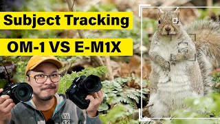 OM1 VS EM1X Subject Tracking which one is BETTER   RED35 LAB [upl. by Naillij]