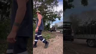 Nailing the brief treeremoval polesaw hedger raking leafblower gardenwasteremoval shorts [upl. by Ytineres]