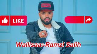 Ramzi salihCinaaqamaa kiyaa remixoromo music [upl. by Onafets494]