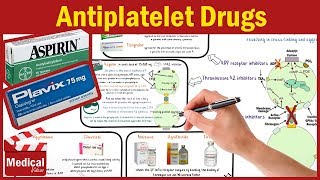 Pharmacology CVS 20 Antiplatelet Drugs Mechanism Of Action  Aspirin  Clopidogrel  Cilostazol [upl. by Yhtuv]