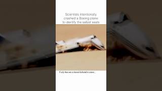 Scientists Reveal How to Survive a Plane Crash [upl. by Adrea147]