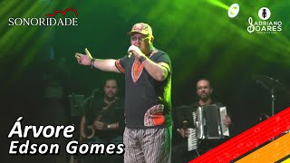 Árvore  Edson Gomes Cover  The Night Voice Recife  PE [upl. by Aidyl374]