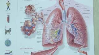 Robotic Lobectomy for Lung Cancer Treatment [upl. by Schuster]