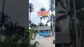 Siargao lifeshortvideo typhoon shortfeed highlights [upl. by Elleimac]