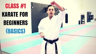 Martial Arts for Beginners – Lesson 1  Basic Karate Cobra Kai Techniques [upl. by Dalenna]