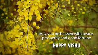 Vishu festival trendy song music by Sajith [upl. by Lory569]