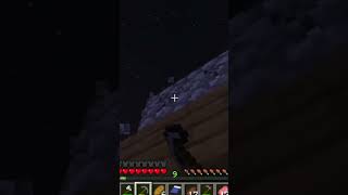 Le rot il tagresse frr minecraft humour gaming memes clips [upl. by Adnert477]