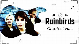 Rainbirds Greatest Hits Recap 1987  2014 [upl. by Suisyola]