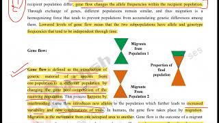 What is Gene Flow [upl. by Kalbli]