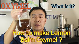 Oxymel What is it How to make Lemon Balm Oxymel and its Benefits How to use Oxymel [upl. by Dinse]