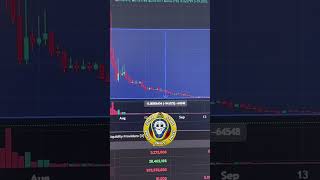 Meme Coin Presale Prognose gdog beercoin flopharrel [upl. by Esinel]