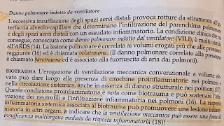 Il ruolo del maggiordomo questa volta è rivestito dalla ventilazione meccanica [upl. by Nereen]