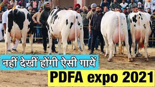 Biggest Dairy expo in Punjab  PDFA 2021 PDFA [upl. by Burtis]