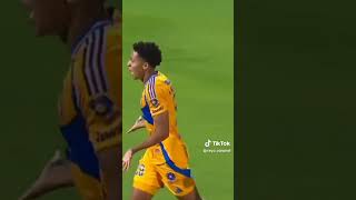 Tigres VS Santos 30 [upl. by Errehs]