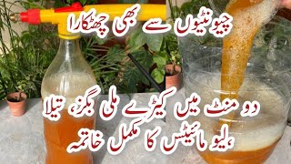 Cheap Organic Liquid Pesticide for Plants  Podoun k Keere Mare  Protect Plants from Insects [upl. by Straub]