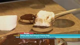 Bakers MINI Marie Biscuit S’mores Pops [upl. by Eanil206]