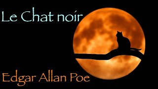 Livre audio  Le Chat noir Edgar Allan Poe [upl. by Leirraj]