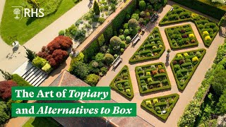 The Art of Topiary and Alternatives to Box Buxus sempervirens  The RHS [upl. by Hniv212]