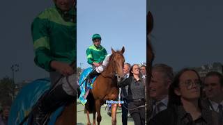 Sumbe Prix Morny Group 1 Winner Whistlejacket [upl. by Akemehc]