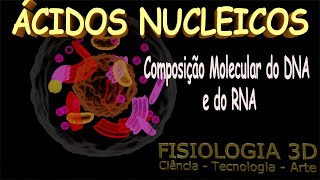 Aula 23  Ácidos Nucleicos DNA e RNA [upl. by Antoinette185]