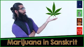 Marijuana in AtharvaVeda Ayurveda and more [upl. by Lauri961]