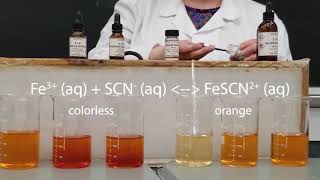 Le Chateliers Principle  Iron III Thiocyanate [upl. by Yacov841]