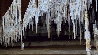 Hastings Caves and Thermal Spring Tasmania [upl. by Ymaral]