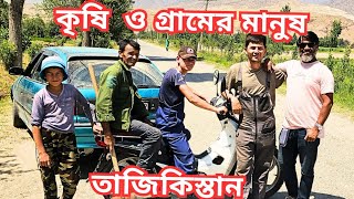 তাজিকিস্তানের প্রত্যন্ত ১টি গ্রামের কৃষিক্ষেত amp গ্রামের মানুষVillage life amp Farming of Tajikistan [upl. by Atiruam251]