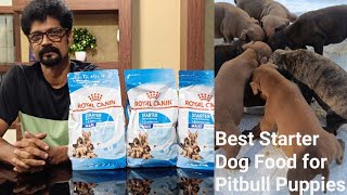 ROYAL CANINBEST STARTER DOG FOOD FOR PITBULL PUPPIES amazon ONLINE PURCHASING BENEFITS royalcanin [upl. by Namlaz]