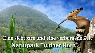 Naturpark Trudner Horn  geosfilm [upl. by Lizbeth]