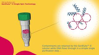 Nucleic acid purification with GenEluteE [upl. by Adachi77]