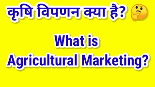 कृषि विपणन क्या है  What is Agriculture Marketing  कृषि विपणन व्यवस्था के आवश्यक पहलू  Economics [upl. by Attennyl692]