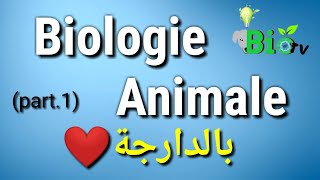 Biologie animale part 1  les protozoaires [upl. by Yklam275]