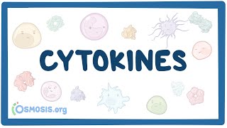 Cytokines [upl. by Odab429]