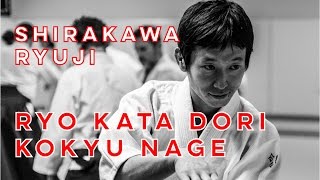 Shirakawa Ryuji 白川竜次  Ryo kata dori kokyu nage  Avril 2017 [upl. by Zandra236]