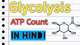 Glycolysis ATP Calculation  ATP Calculation  Glycolysis ATP [upl. by Ymeon]