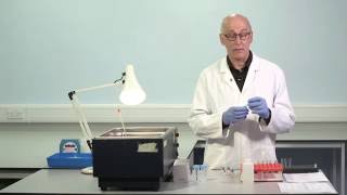 Factor VIII Inhibitor Assay  Lab Manual Video [upl. by Neroc280]