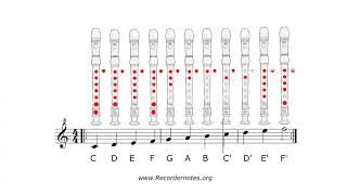 ✅ C Major Scale Recorder ✅ How to Play C Major Scale on Recorder [upl. by Conyers]